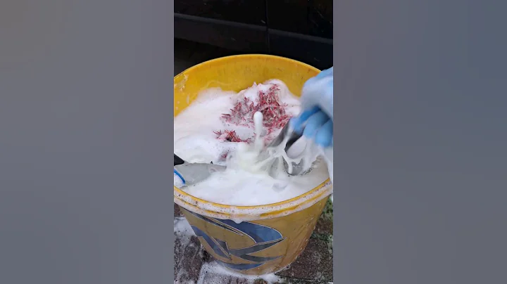 Satisfying Car Cleaning ASMR💦 #detailing #satisfying #asmr