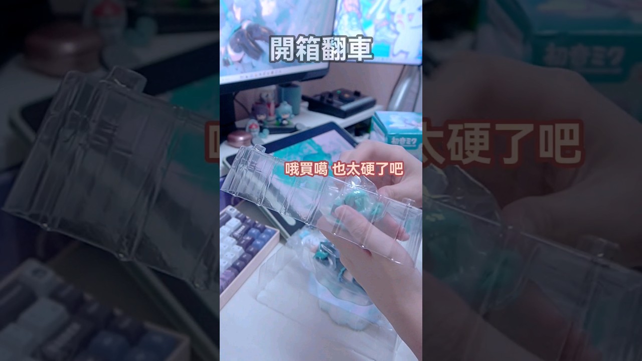 我買回來 也謝謝大家發我連結 😊#yansulive #顏斯直播 #vtuber #MyVT | MYViki