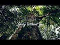 LONELY WITHOUT YOU | SCHOOL OF NATURE | CINEMATIC VIDEO