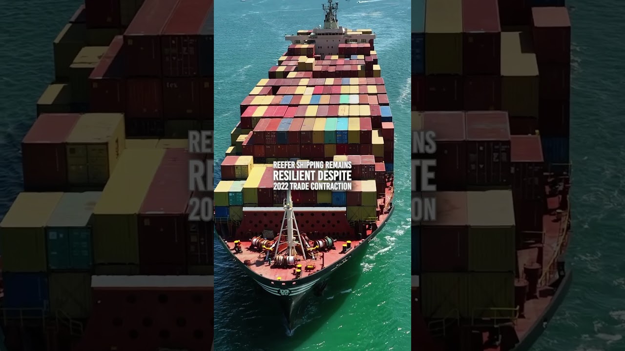 ⚓️ Reefer container freight rates continue to outperform the dry cargo trade, 