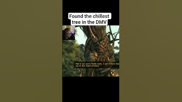 When a Tree Says “Come Around So I Can See Ya” — Fallout 3 #gameplay #gaming  #fallout