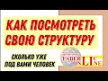 Как посмотреть свою структуру - сколько человек под вами зарегистрировано и сколько набрано баллов.