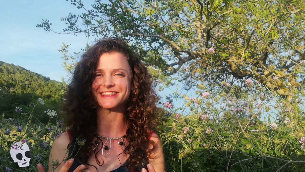 Herbal Smoking Blend Recipe: Apocalyptic Inquiries of the Botanical Persuasion