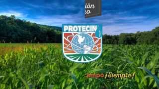 Platica De Mejoradores De Suelo Con Trigueros Del Valle De Mexicali