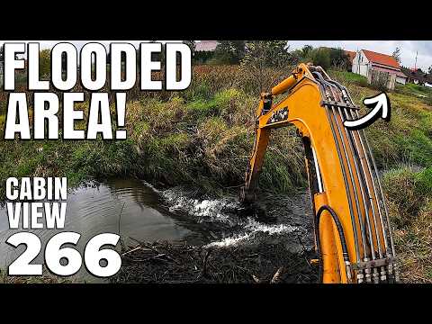 Muddy Beaver Dam Flooded a HUGE Area | Cabin View & Ditch Cleaning | No.266