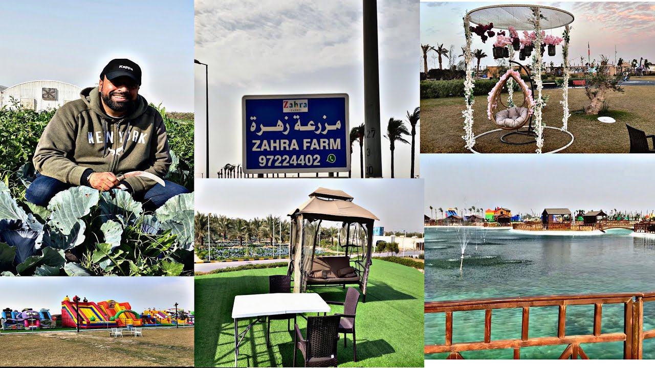 مزرعه زهره العبدلي /ZAHRA FARM ABDULLY KUWAIT/hamed Albuhasan