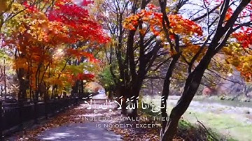 سورة طه تلاوة خاشعة القارئ احمد خضر 🎧❤️