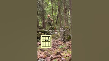 Thumbnail of The video is not mine #thelark #meadowlark #yaelokre #music #guitar