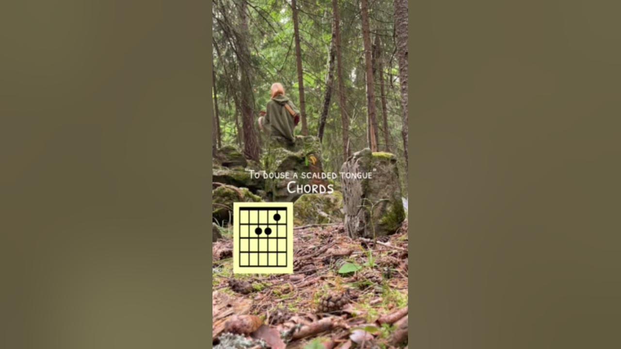 The video is not mine #thelark #meadowlark #yaelokre #music #guitar