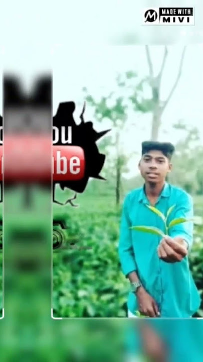 AThara thara pher edip Bhuyan Nagpuri video  2024 🥰😍🥰😍🥰😇