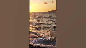 تلاوة مؤثرة #فارس_عباد #تلاوة #قران_كريم #cupcut #quran_karim_قران_الكريم #quran