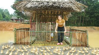 Complete Building Bamboo Rafts and Ducks House Above Water, Raising Ducklings  My Farm / Đào