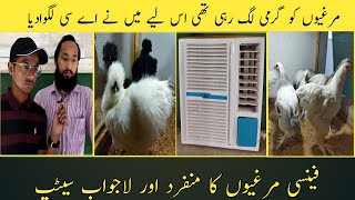 Visit Gulraiz Bhai  Brahma silkies turkey & Many Fancy Hens Setup in karachi Pakistan ||B4BIRDS