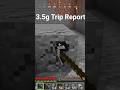 he took mushrooms and this happened.. #mushroom #psychonauts #tripreport #trip
