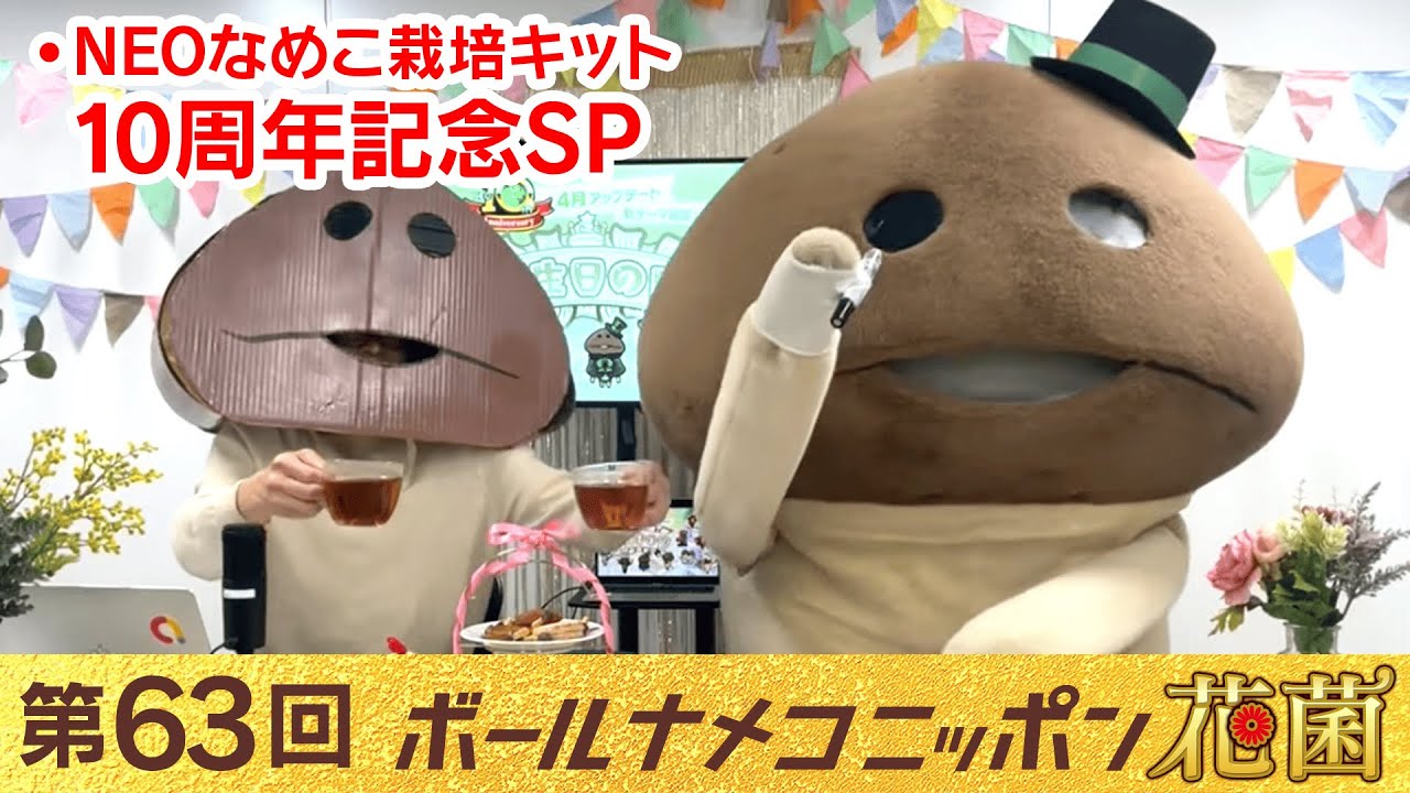 NEOなめこ】祝10周年！新テーマ「誕生日の庭」を追加！Ver.2.79.0配信
