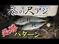 【フロートアジング】冬アジング攻略法！冬の尺アジは遠投+バチパターンで釣れ！