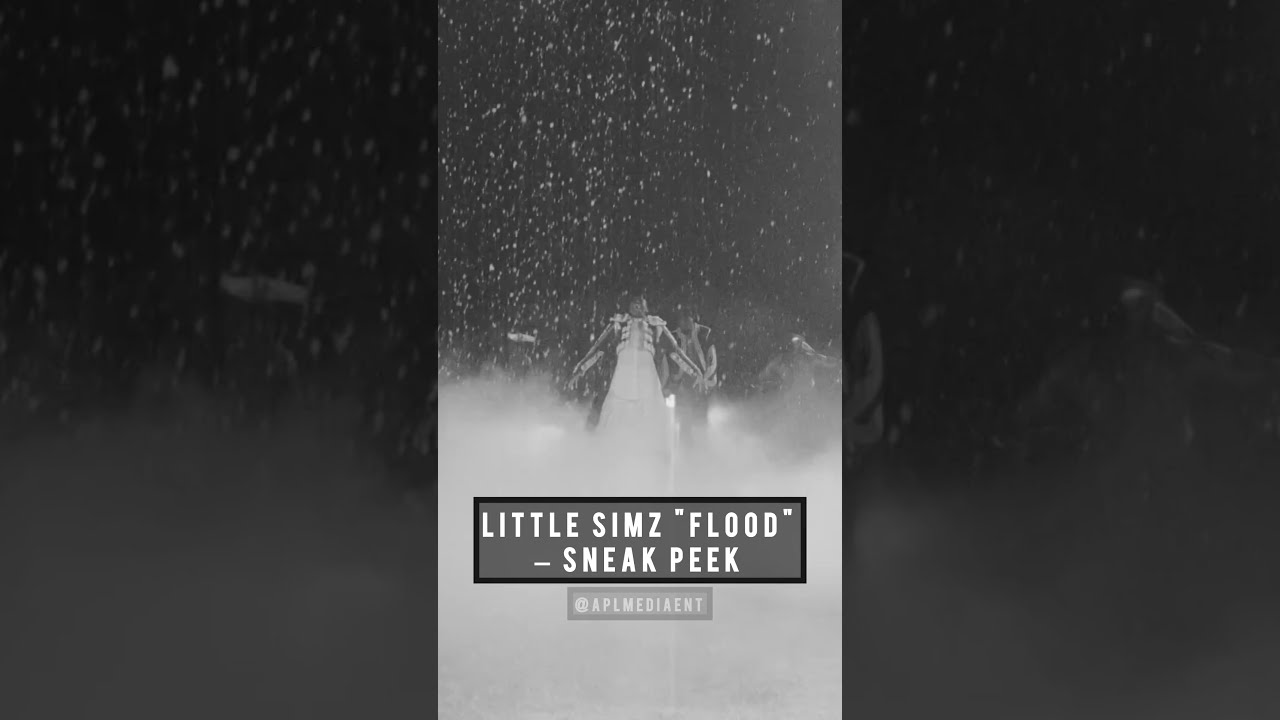 Little Simz "Flood" – Sneak Peek (Feb 26)