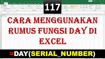 cara menggunakan fungsi day di excel