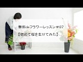 無料deフラワーレッスン#07【初めて桜を生けてみた】