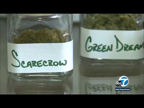 Hundreds anticipated to educate to sell recreational pot in LA | ABC7 thumbnail