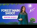 Winter shoot  forest mai shoot