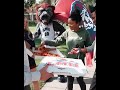 Iggy Pizza Delivery