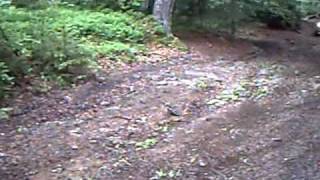 Montée(quadeursdulivradois)300510.AVI