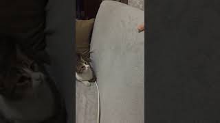 15 Kişiye Saldırdım