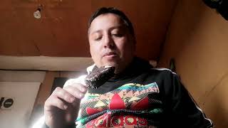 Es Hora De Comer Helado Carioca De Fruna