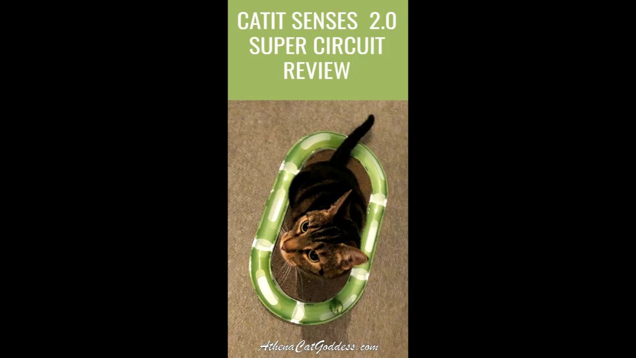 Catit Senses 2.0 Super Circuit review