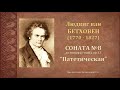 Л.Бетховен. Соната №8 "Патетическая" (c-moll, op.13). Темы для викторины по музыкальной литературе.