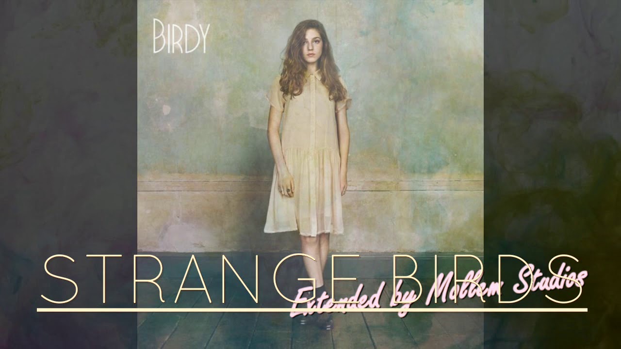 Birdy strange birds