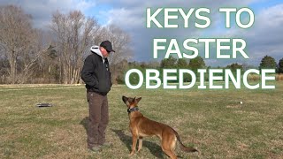 Building Speed In Obedience | Professional Tips to Faster Training