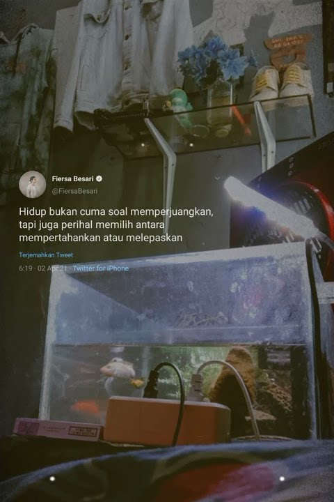 Story wa perjuangkan yg memperjuangkanmu