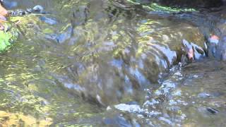 Water flow in a brook -