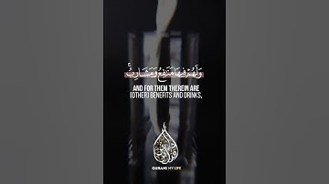 تلاوة بقمة الجمال والهدوء من سورة يس رعد الكردي 🎧🤎 Surat Yaseen Raad Muhammad AlKurdi