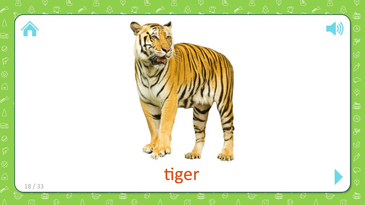 Tiger - Wild Animals - Flashcards for Kids - YouTube