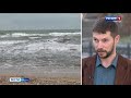 Миллиарды деревьев помогут улучшить водоснабжение Крыма