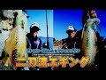 ヒロセマンの秋エギング「どシャロー＆ショアティップラン・二刀流攻め」【メジャークラフト】
