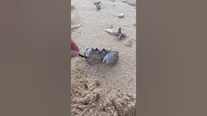 Don’t Dig This On The Sea Side #viralvideo