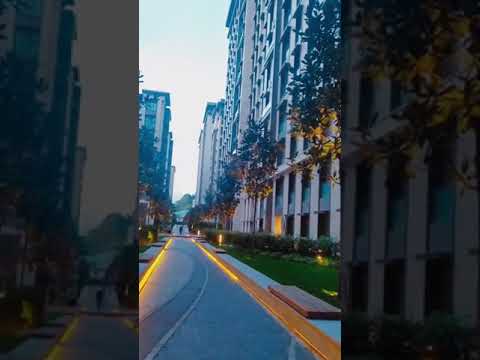 من الظروف إلى ظروف ما ذبحنا إلا الظروف