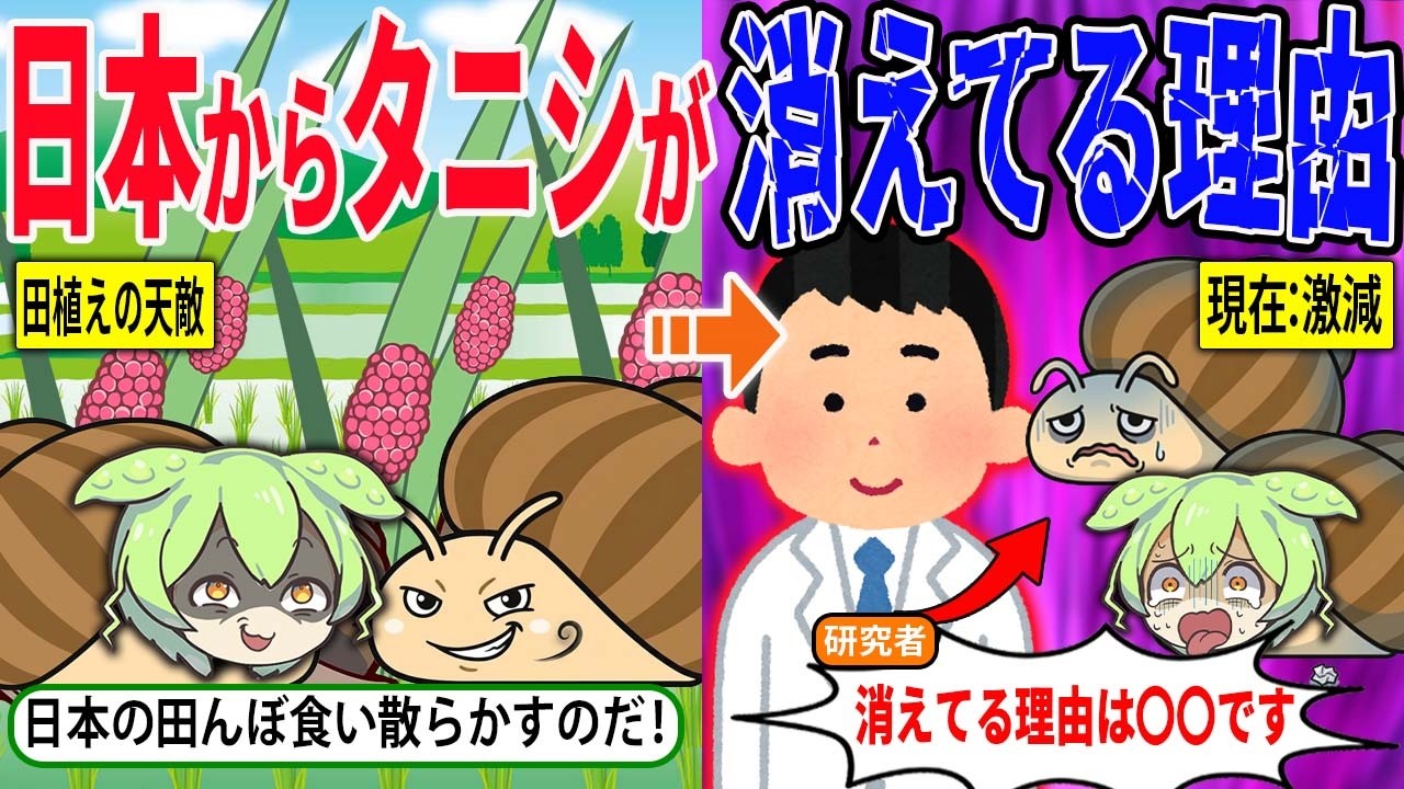 日本のタニシが減少している理由とは？【ずんだもん＆ゆっくり解説】