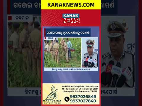 ଗଞ୍ଜେଇ ଚାଷ ଉପରେ ଆକ୍ସନ୍! Kandhamal Ganja Crackdown | IG Himanshu Lal Issues Stern Warning