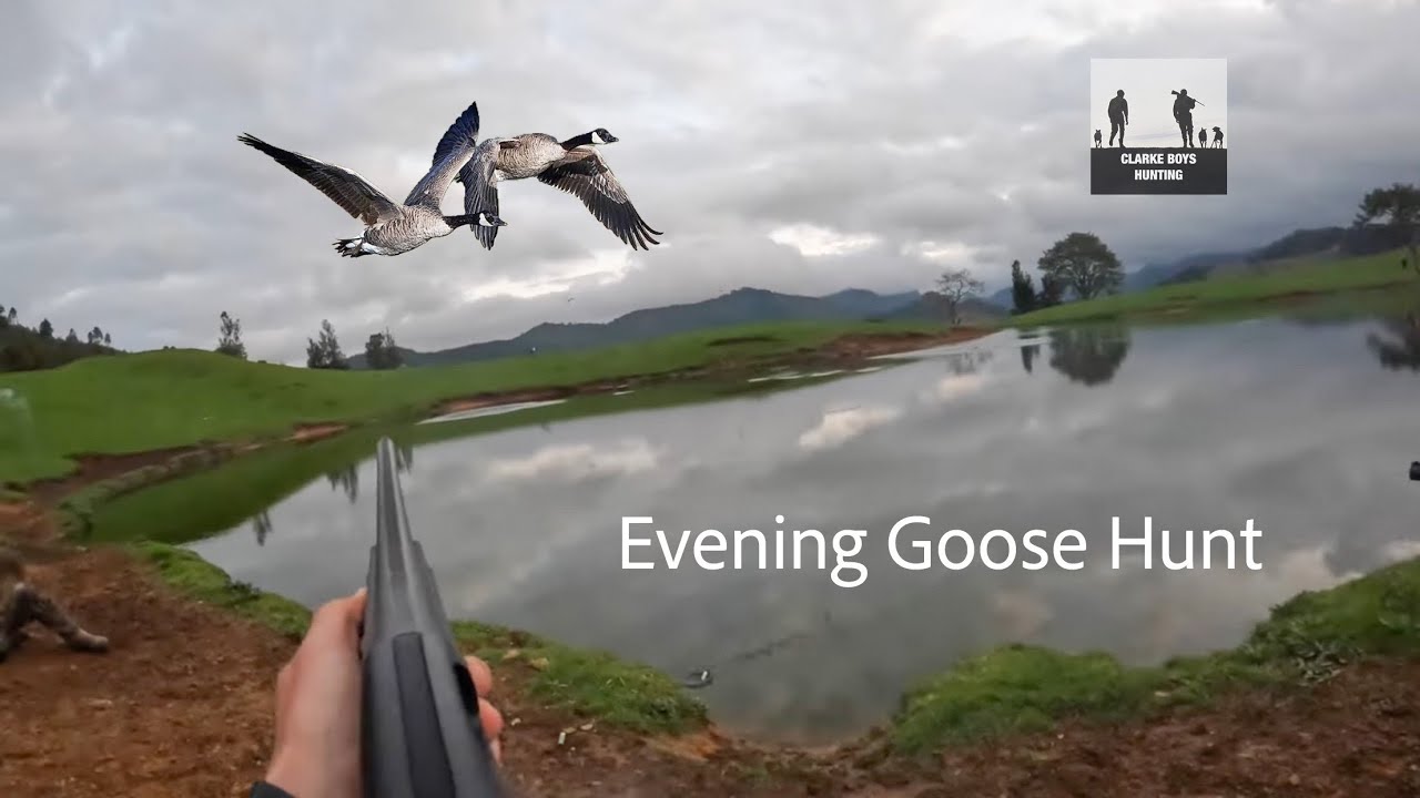 Goose Hunt-Last light chaos!