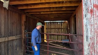 Buying More Land And Exploring Our New Barn