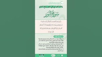 زادك القرآني في شهر ربيع الثاني | سورة النور | من الآية (4) إلى الآية (5)