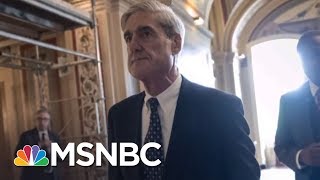 Robert Mueller Indictment Torpedoes Donald Trump's Claim Russia Is A Hoax | The 11th Hour | MSNBC