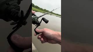 Fishing the Hybrid Hunter Jr
