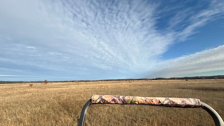 2025 Wisconsin Deer Camp.  Bucks Down!