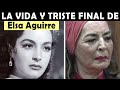 La Vida y El Triste Final de Elsa Aguirre